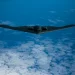 A B-2 Spirit bomber deployed from Whiteman Air Force Base, Missouri, flies near Joint Base Pearl Harbor-Hickam, Hawaii, during an interoperability training mission Jan. 15, 2019. The aircraft are flying in support of a U.S. Strategic Command Bomber Task Force mission. U.S. Strategic Command’s Bomber Forces regularly conduct combined theater security cooperation engagements with allies and partners, demonstrating the U.S. capability to command, control and conduct bomber missions across the globe.