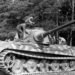 Panzerkampfwagen VI Ausf. B King Tiger tank with Henschel turret in a field.
